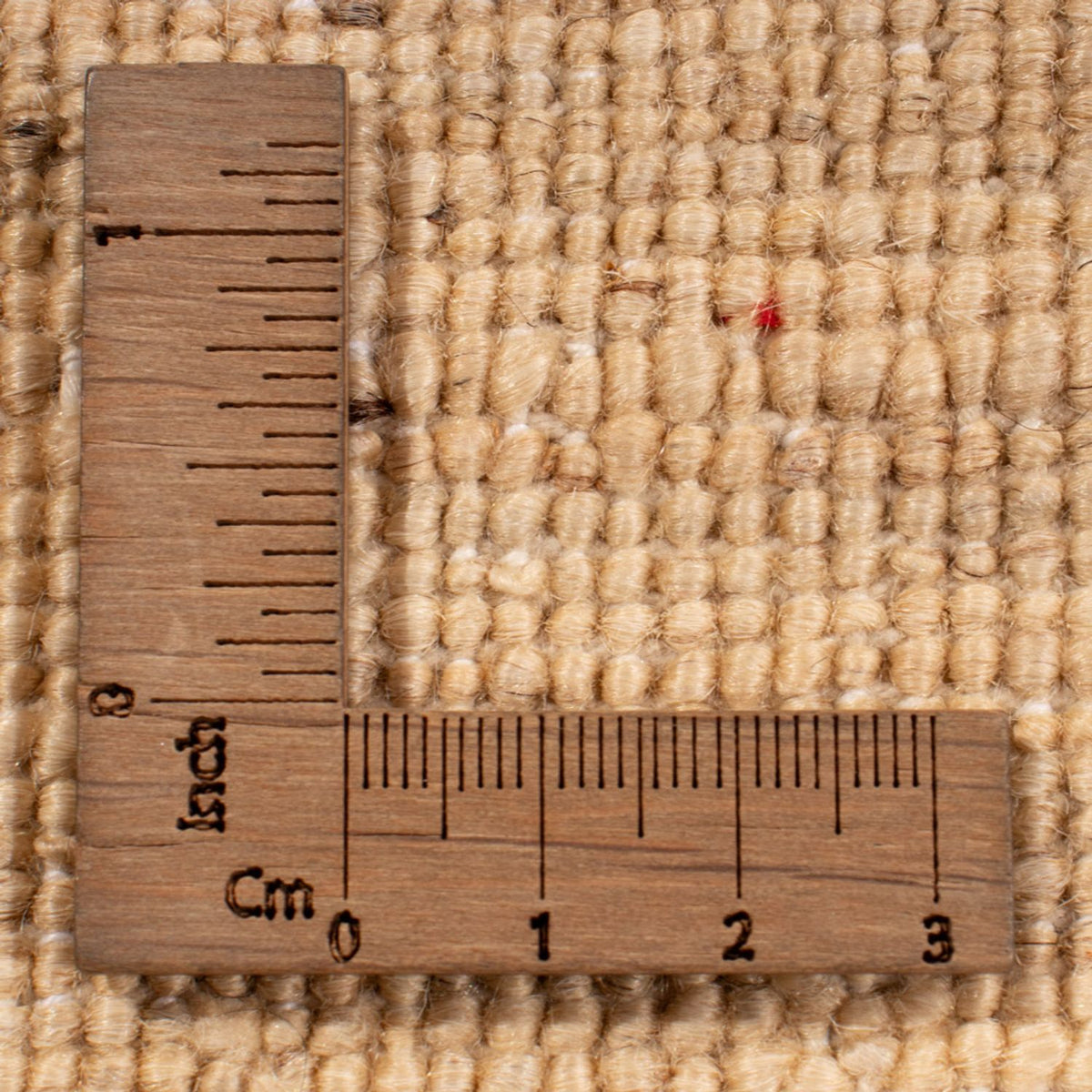 Tappeto Ziegler - Ariana - 299 x 209 cm - beige