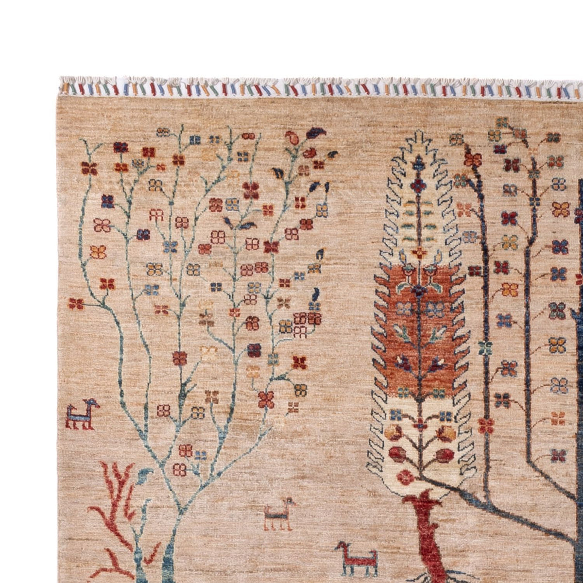 Tappeto Ziegler - Ariana - 303 x 204 cm - beige