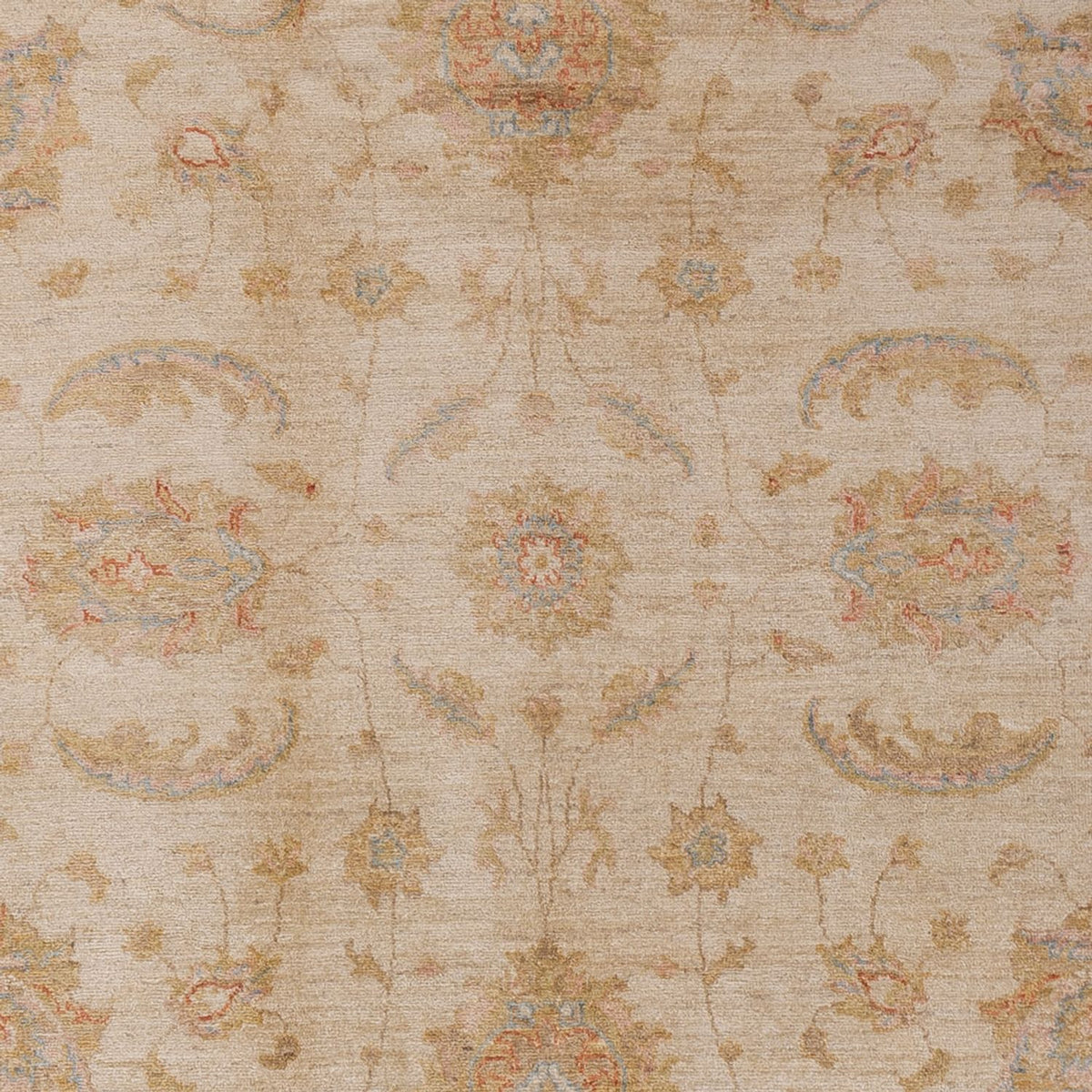 Tappeto Ziegler - 307 x 201 cm - beige