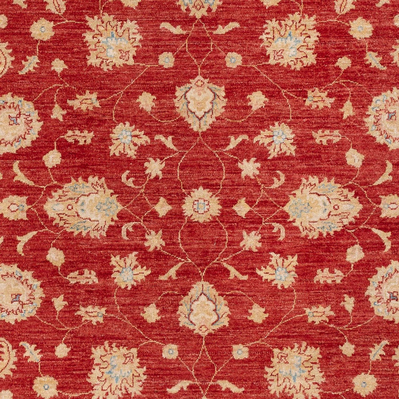 Tappeto Ziegler - 295 x 204 cm - rosso