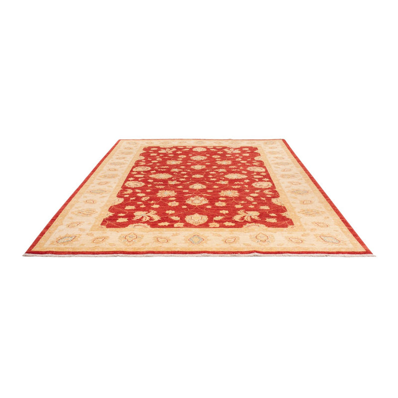 Tappeto Ziegler - 295 x 204 cm - rosso