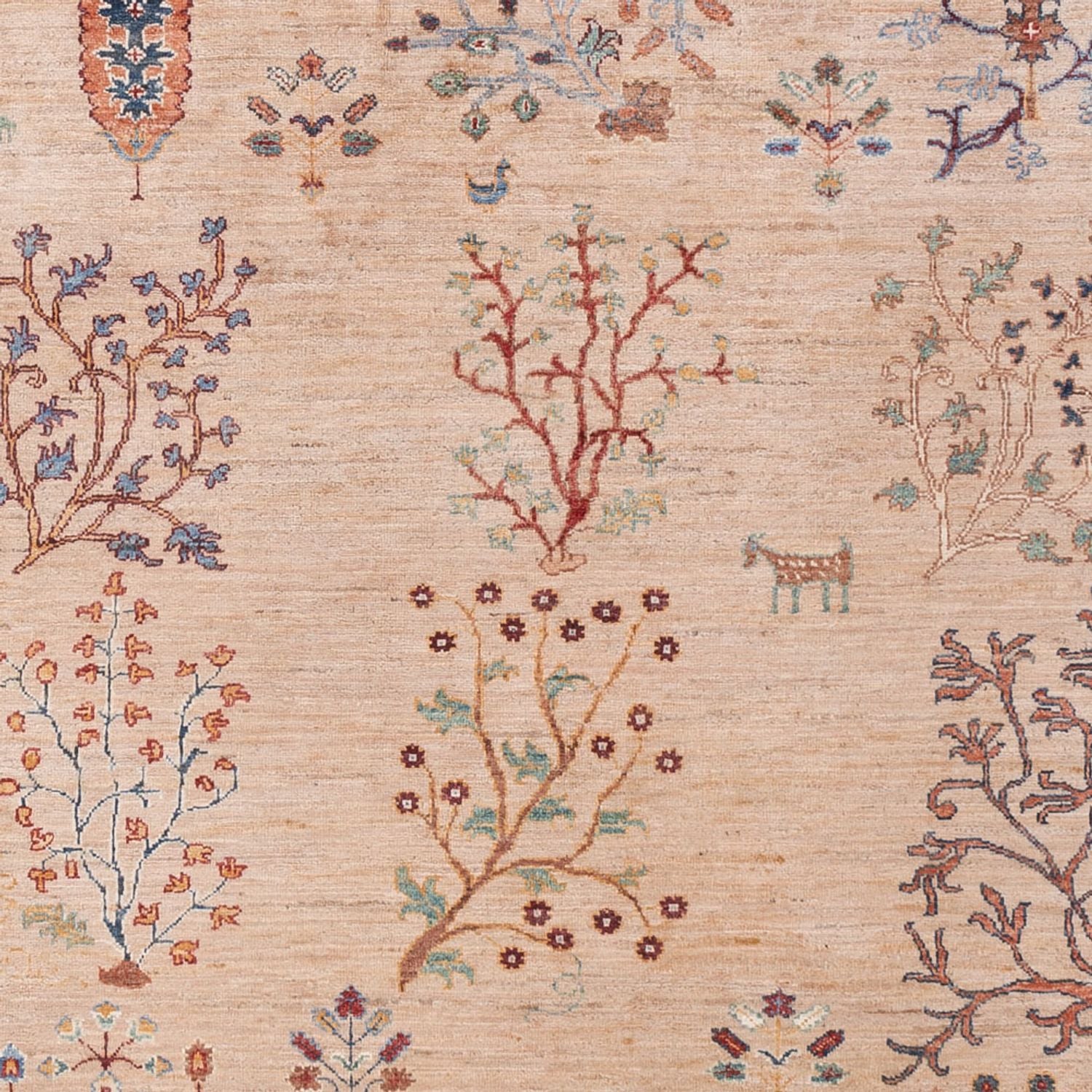 Tappeto Ziegler - Ariana - 293 x 206 cm - beige