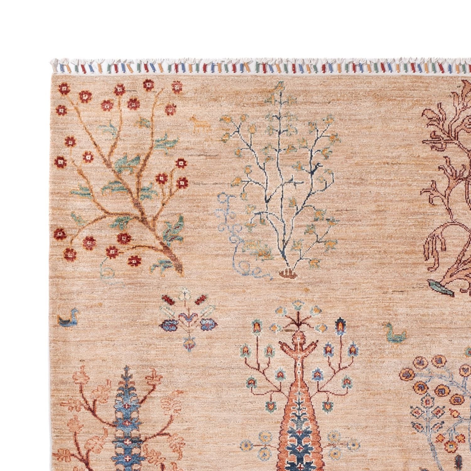 Tappeto Ziegler - Ariana - 293 x 206 cm - beige