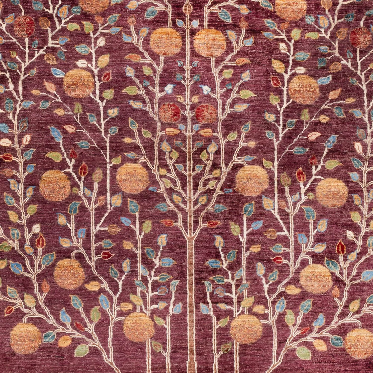 Tappeto Ziegler - Ariana - 300 x 209 cm - viola