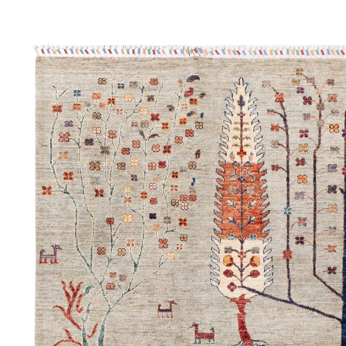 Tappeto Ziegler - Ariana - 294 x 204 cm - sabbia