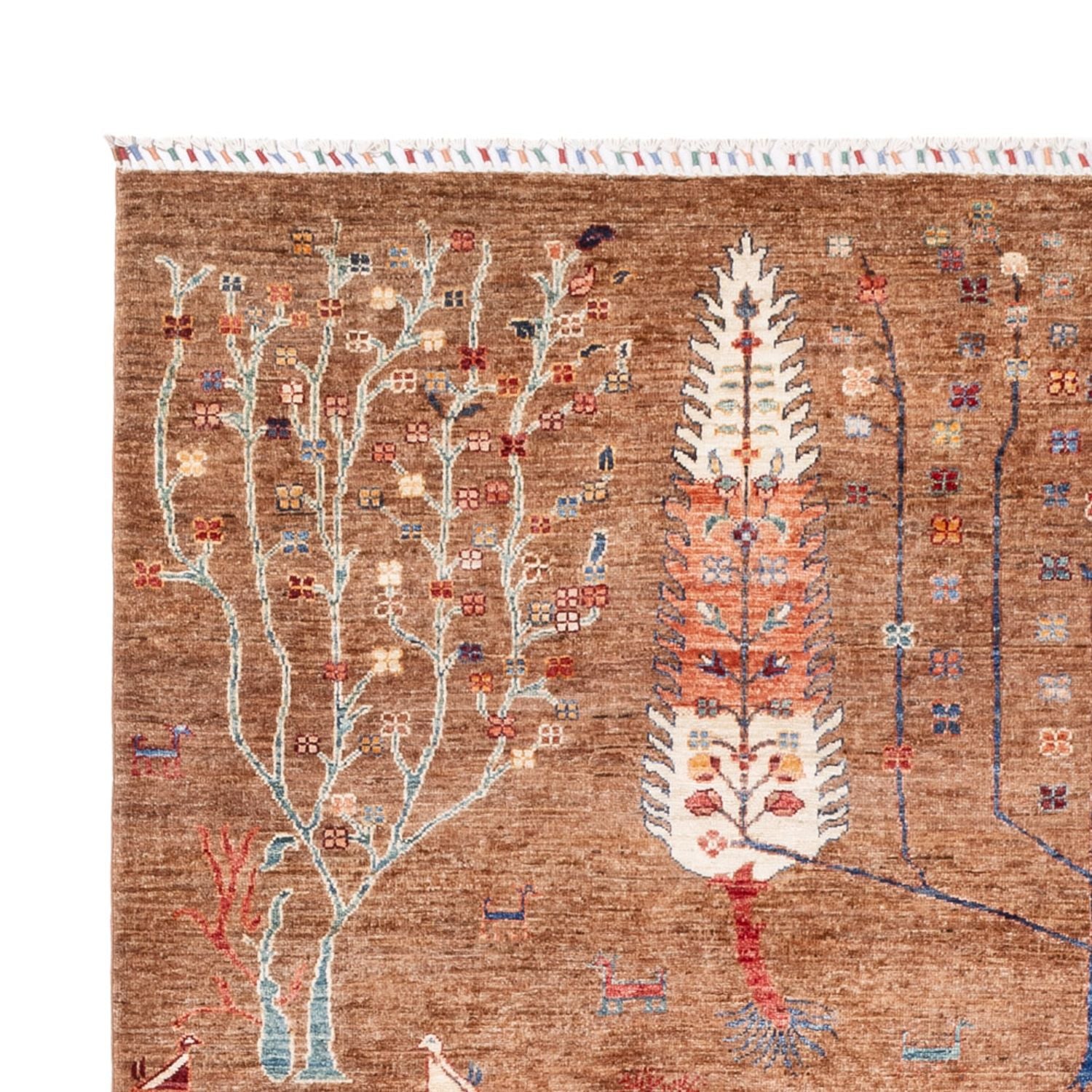 Tappeto Ziegler - Ariana - 293 x 205 cm - beige scuro