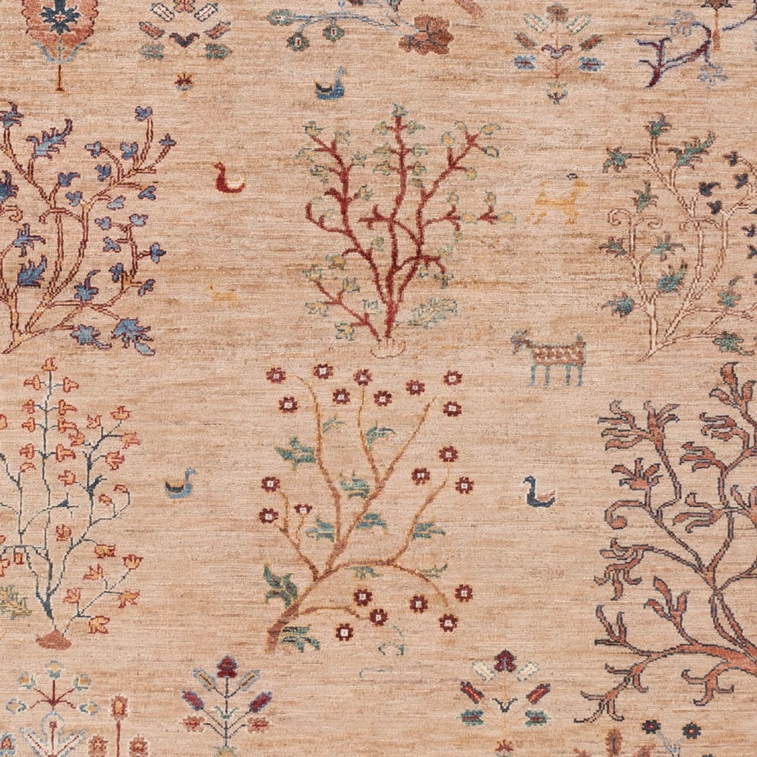 Tappeto Ziegler - Ariana - 293 x 205 cm - beige scuro
