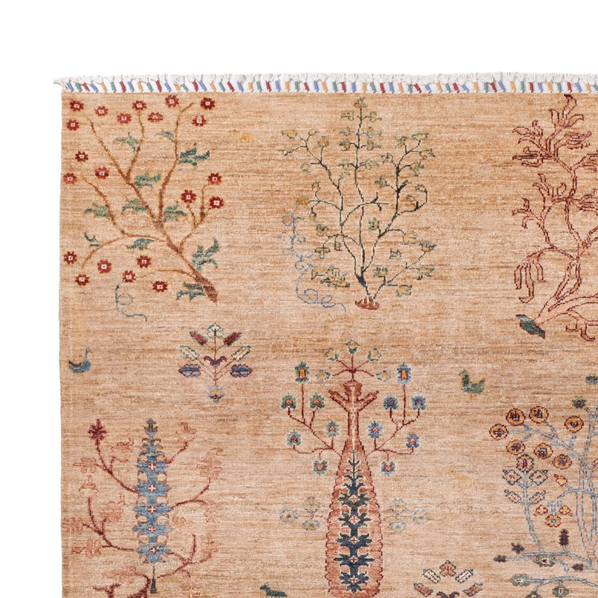 Tappeto Ziegler - Ariana - 293 x 205 cm - beige scuro