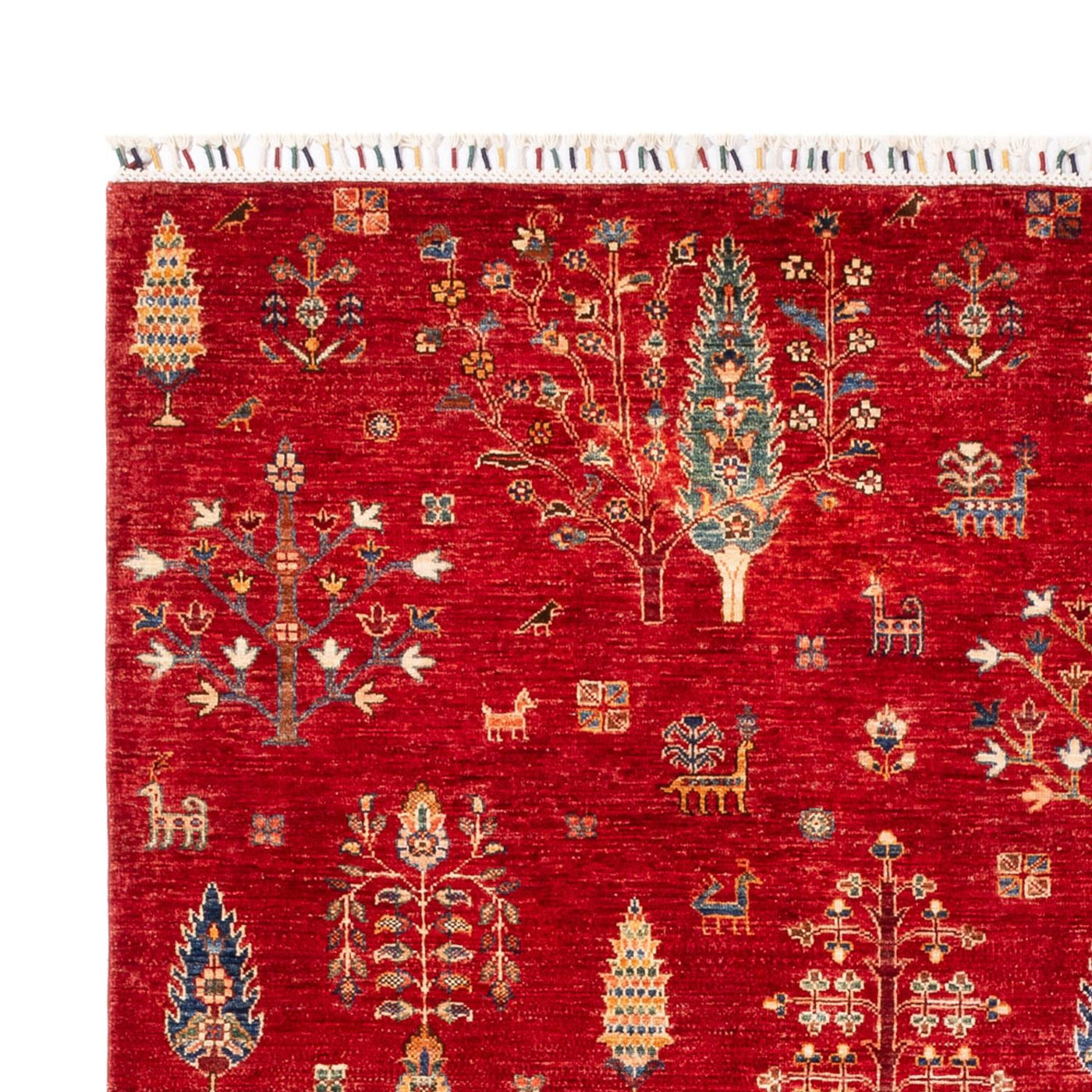 Ariana Tappeto 300x206cm - Tappeto orientale
