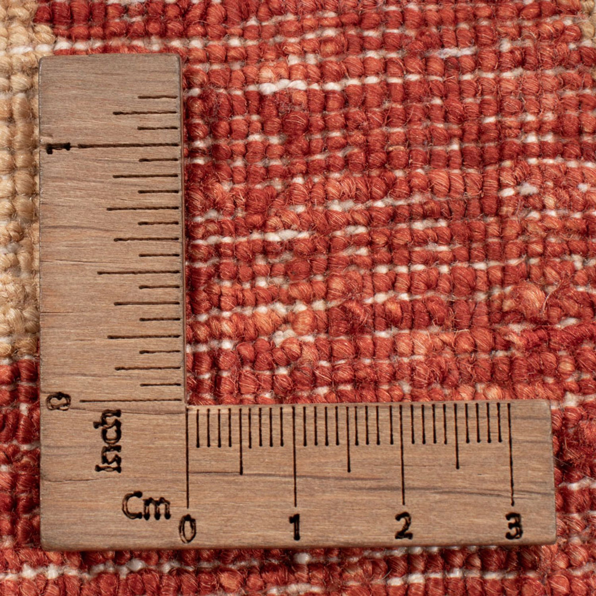 Tappeto Ziegler - Ariana - 319 x 212 cm - beige