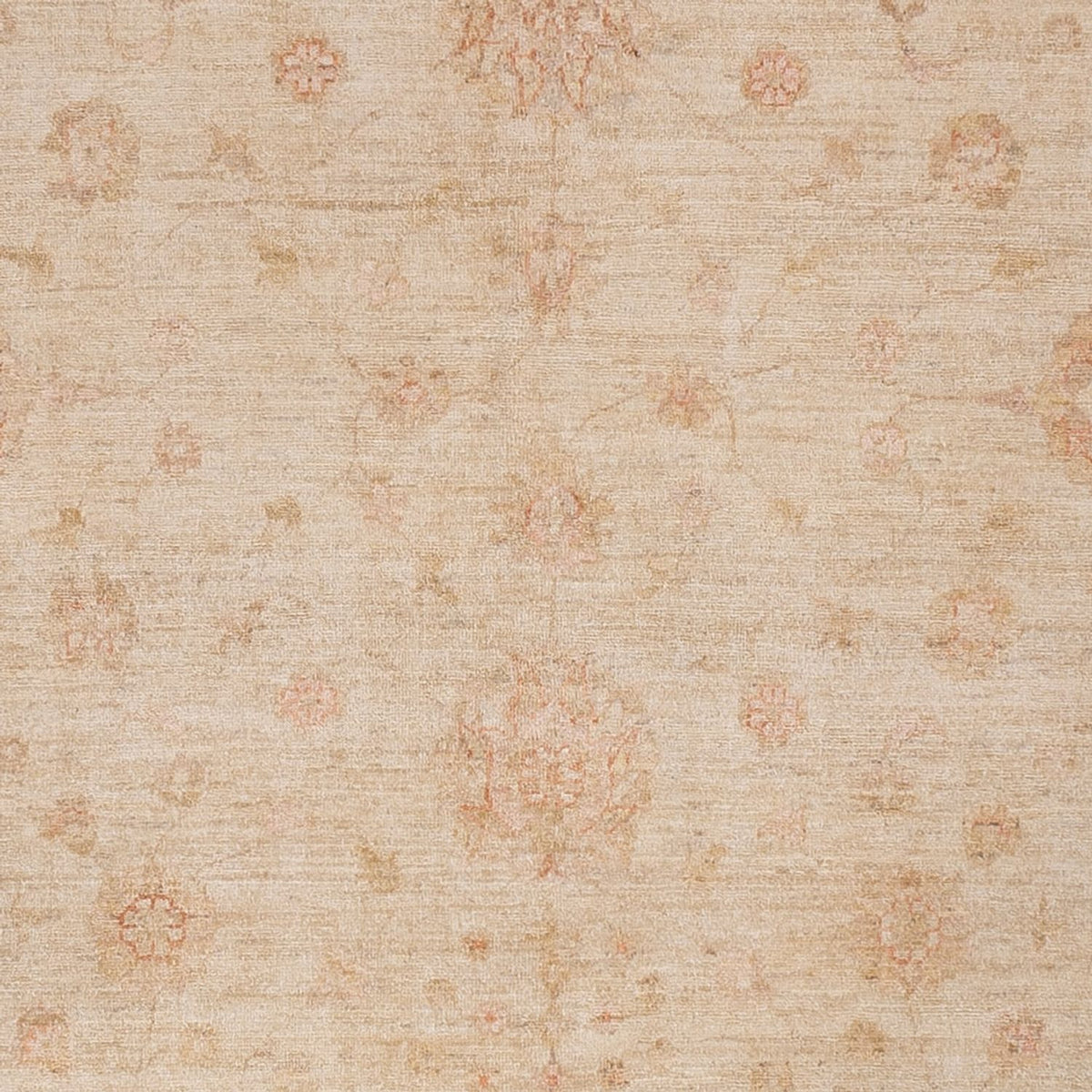 Tappeto Ziegler - 295 x 254 cm - beige