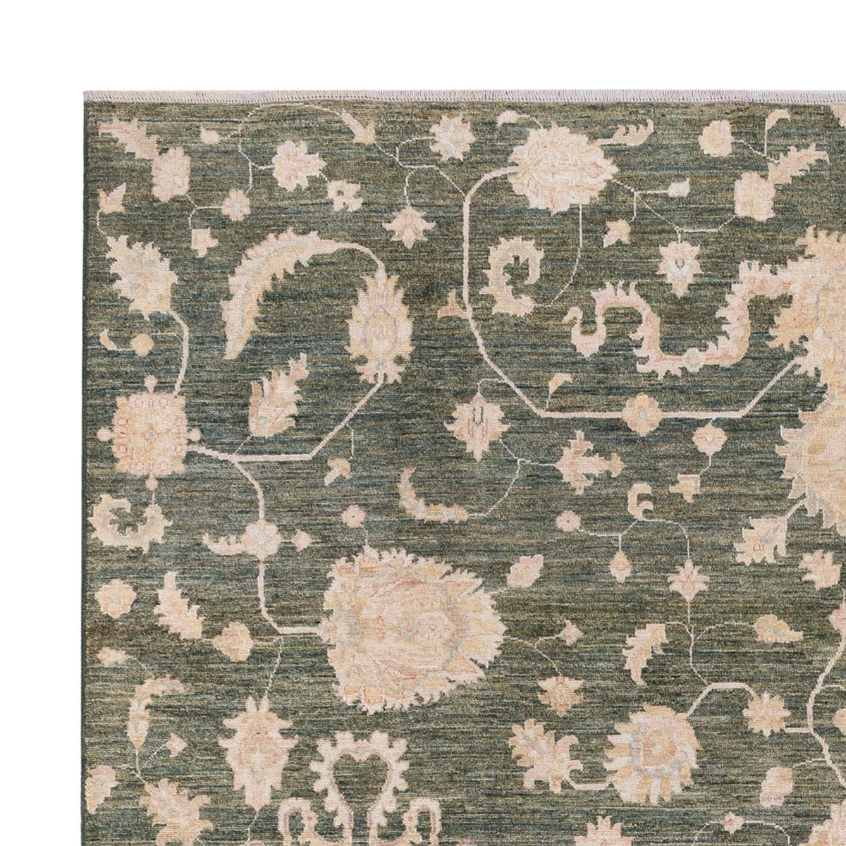 Tappeto Ziegler - Moderno - 308 x 251 cm - verde