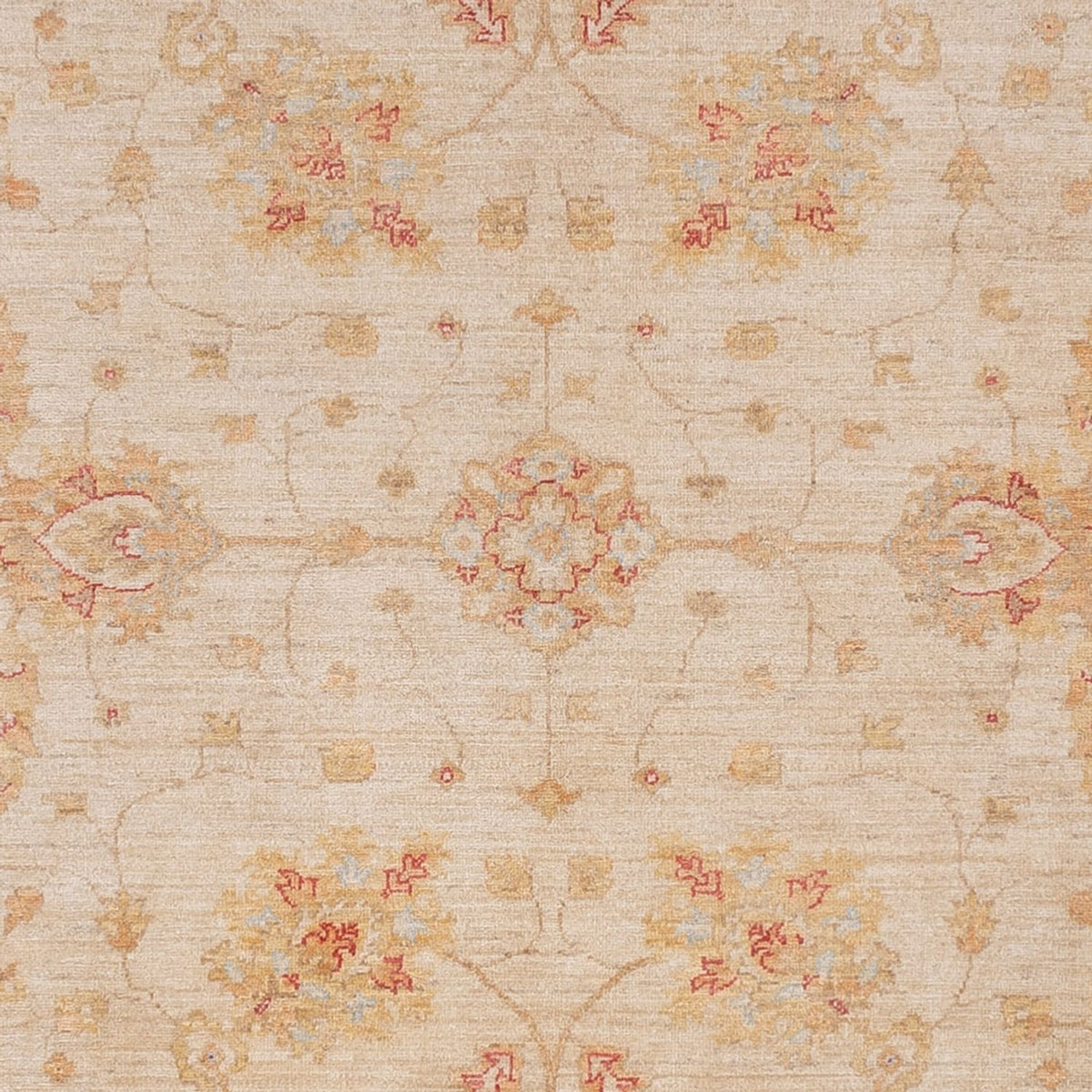 Tappeto Ziegler - 319 x 246 cm - beige