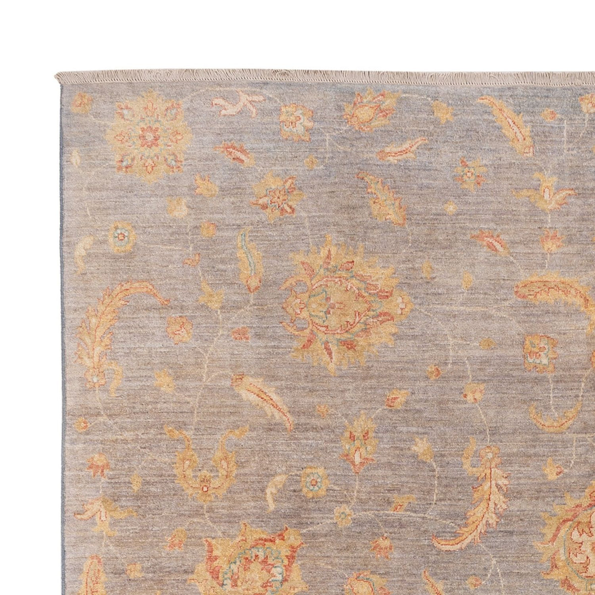 Tappeto Ziegler - Moderno - 304 x 250 cm - grigio