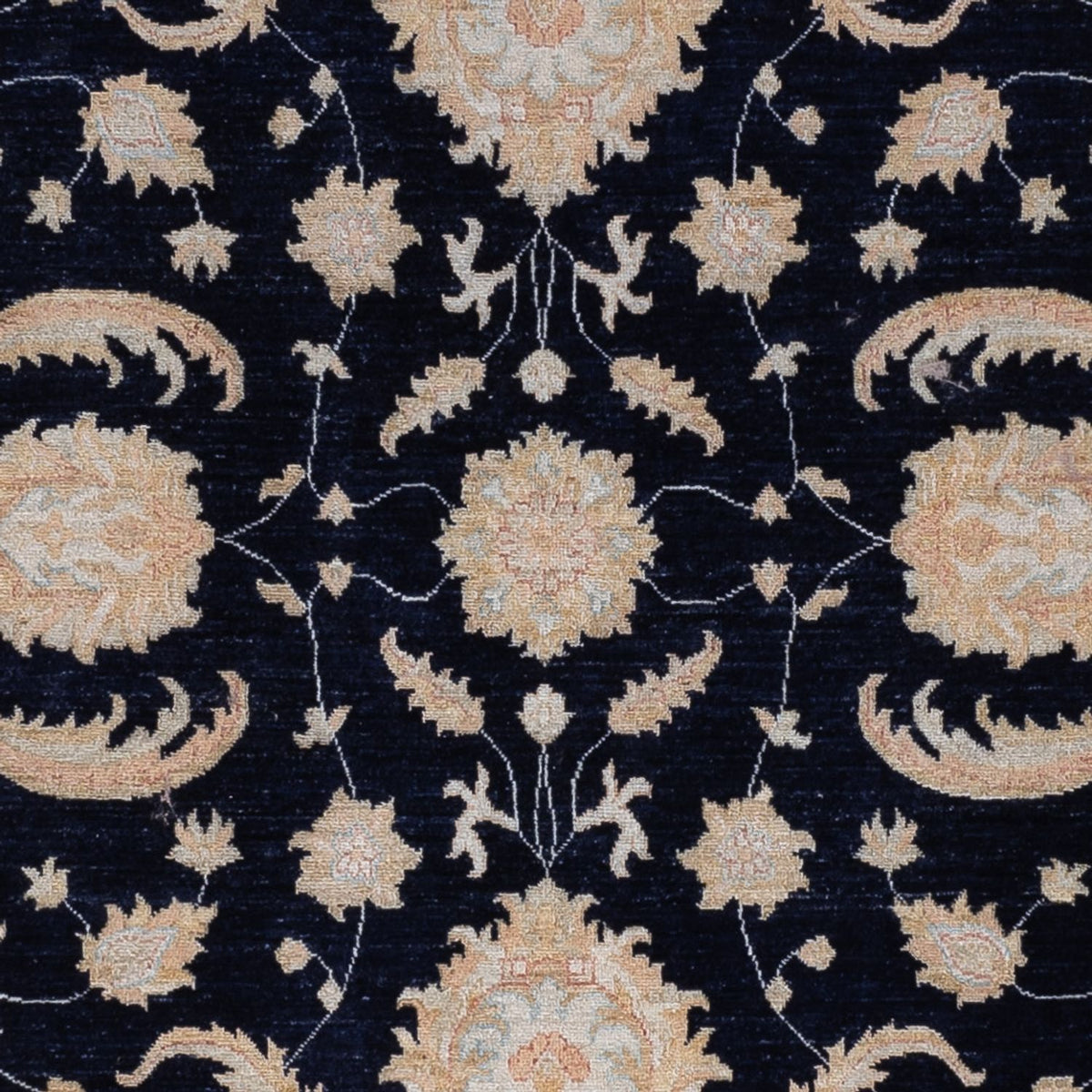 Tappeto Ziegler - 310 x 253 cm - nero