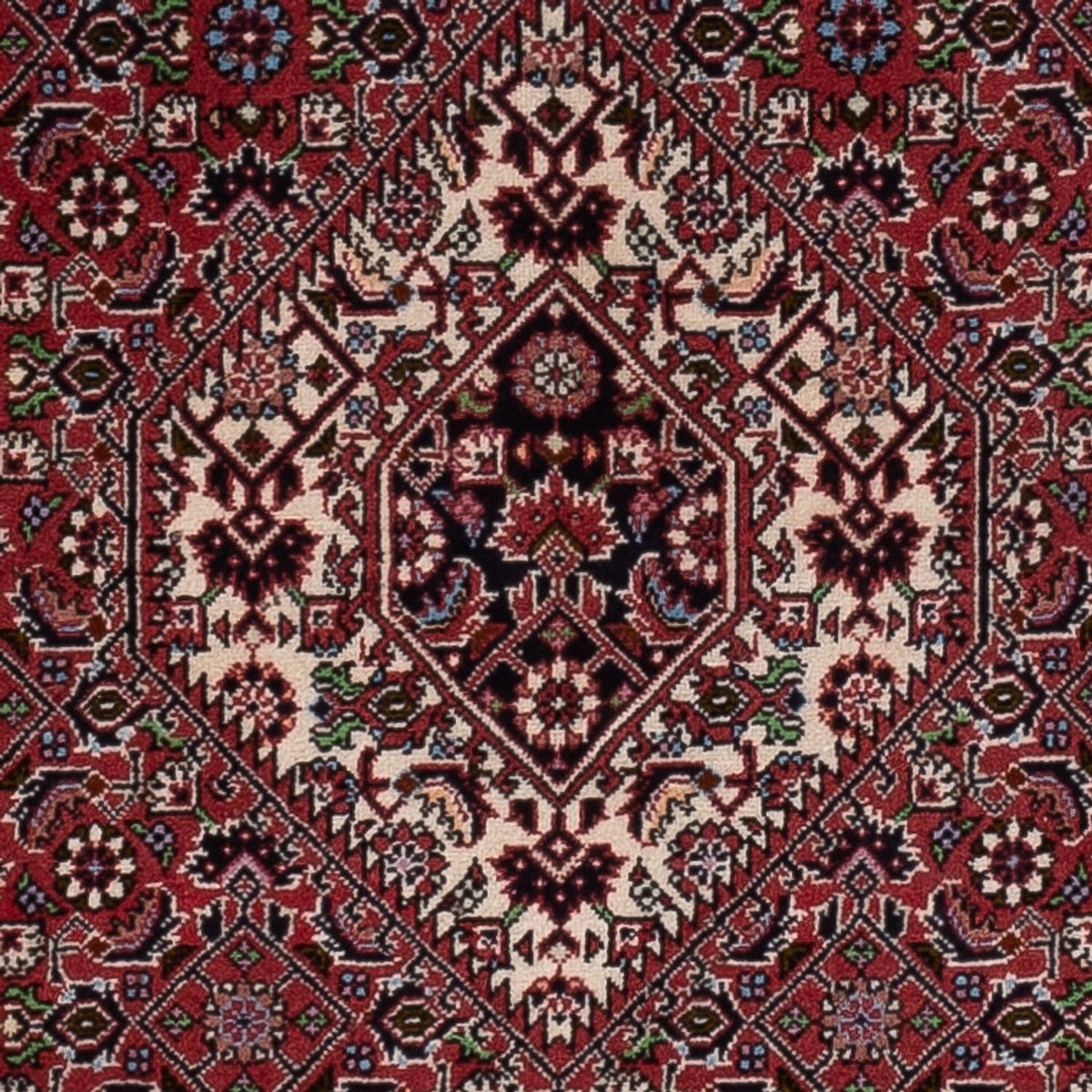 Tappeto Persero - Bidjar - 172 x 110 cm - rosso
