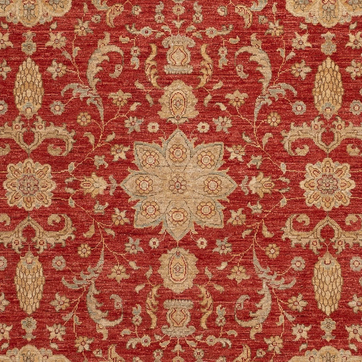 Tappeto Ziegler - Ariana - 304 x 245 cm - rosso