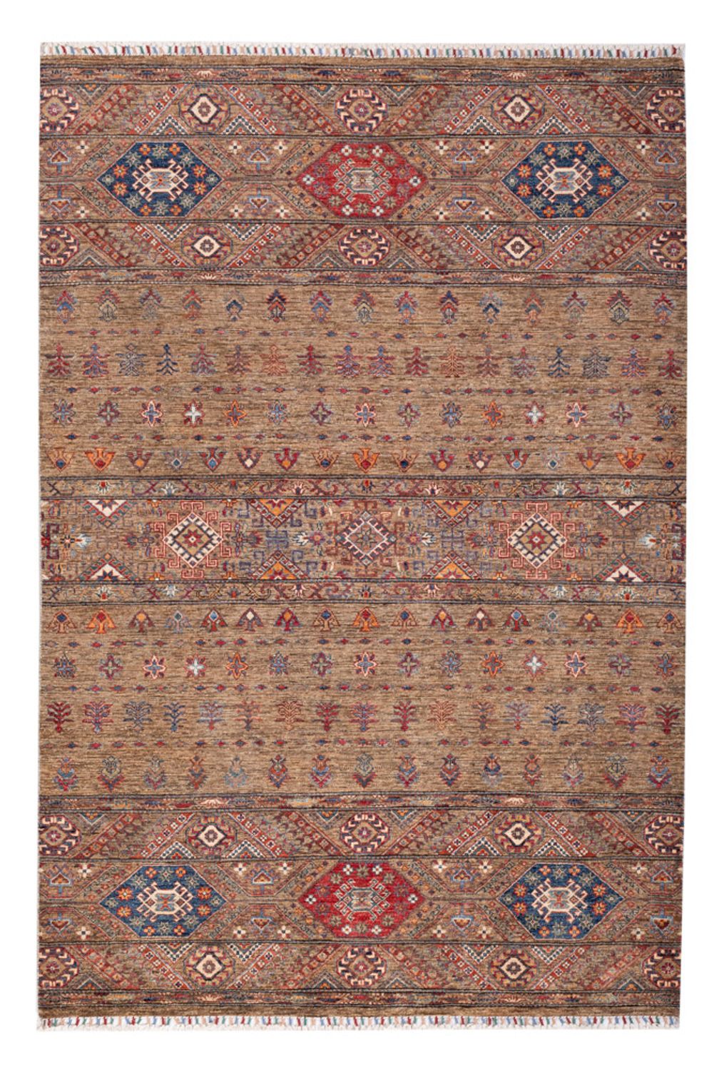 Tappeto Ziegler - Shal - 238 x 168 cm - multicolore