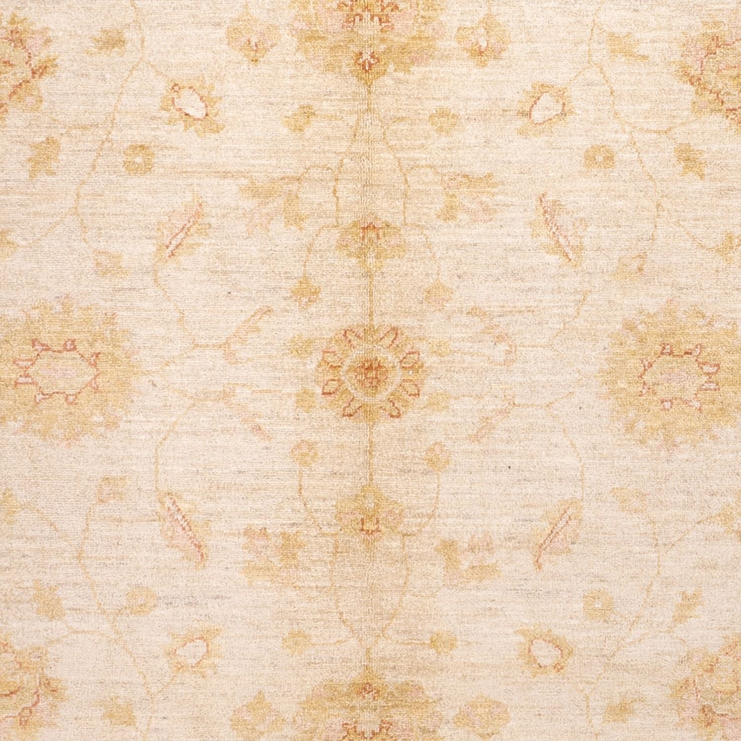 Tappeto Ziegler - 294 x 205 cm - beige