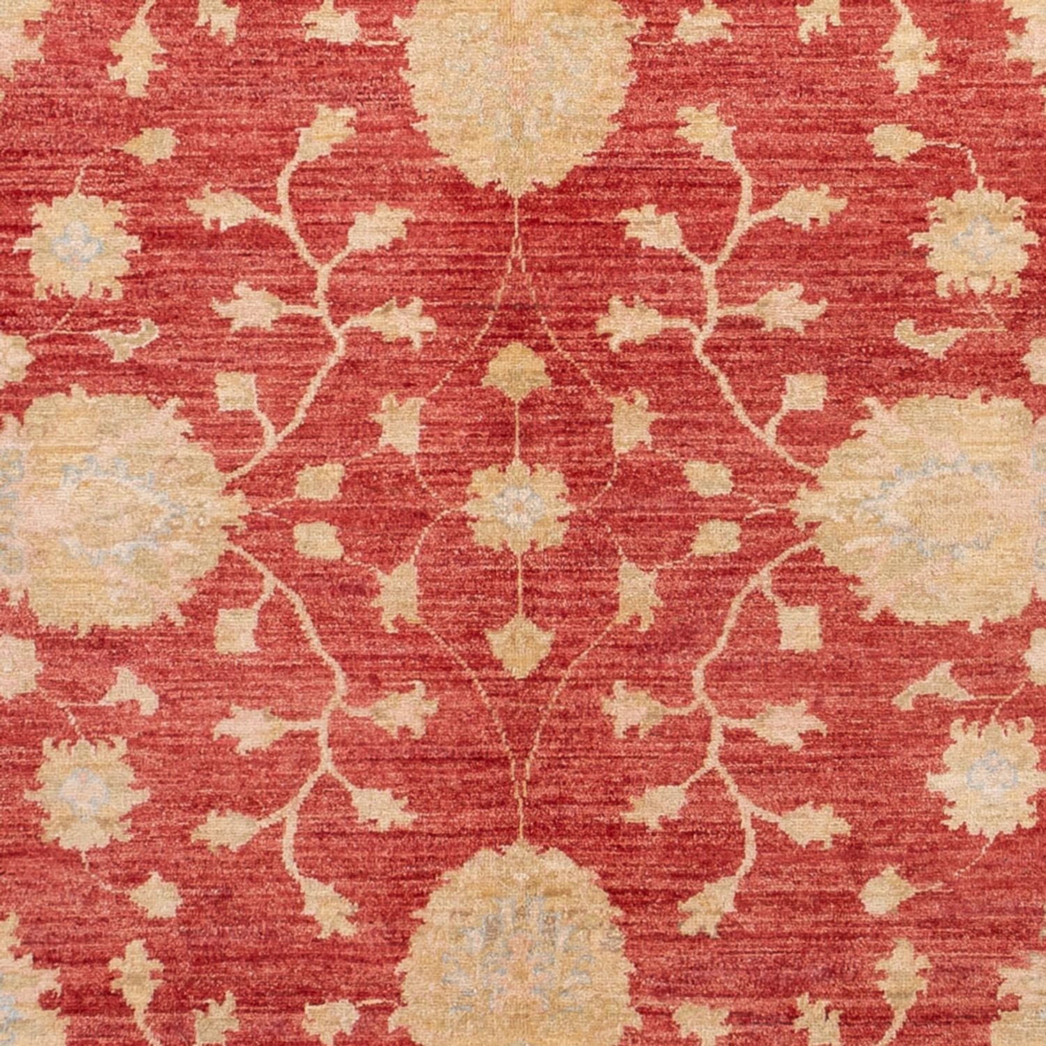 Tappeto Ziegler - 291 x 207 cm - rosso