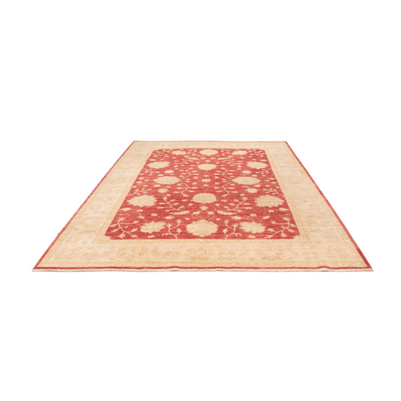 Tappeto Ziegler - 291 x 207 cm - rosso