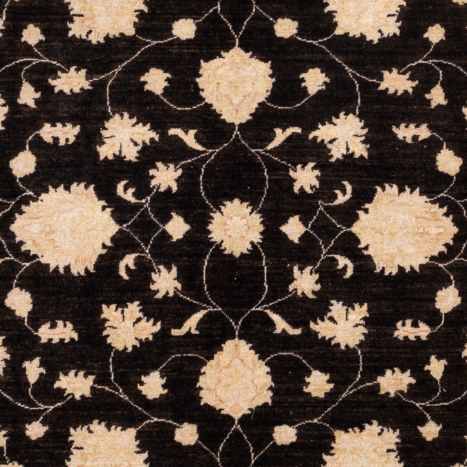 Tappeto Ziegler - 291 x 204 cm - nero