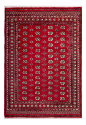 Tappeto afgano - Bukhara - 292 x 206 cm - rosso