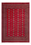 Tappeto afgano - Bukhara - 292 x 206 cm - rosso