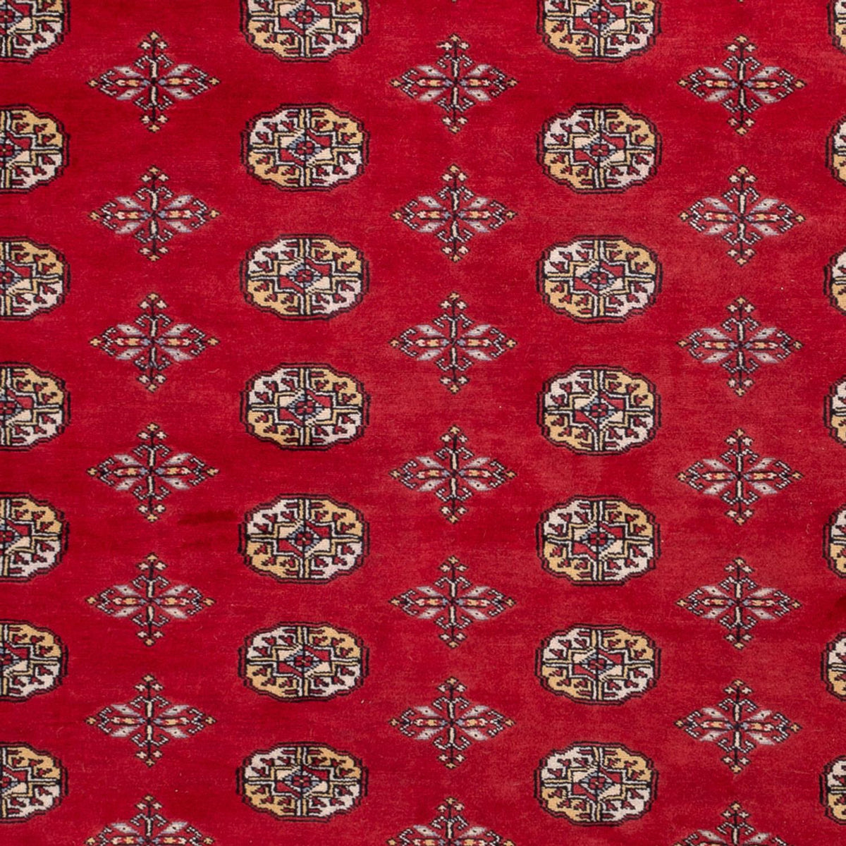 Tappeto afgano - Bukhara - 292 x 206 cm - rosso