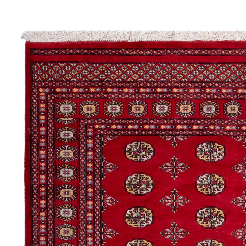 Tappeto afgano - Bukhara - 292 x 206 cm - rosso