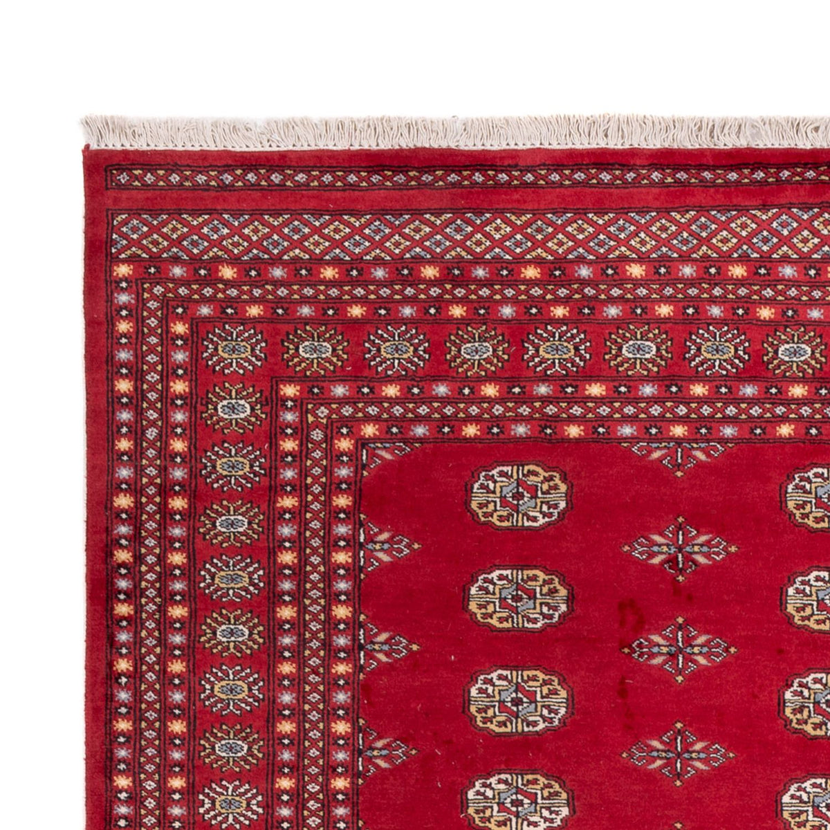 Tappeto afgano - Bukhara - 307 x 201 cm - rosso