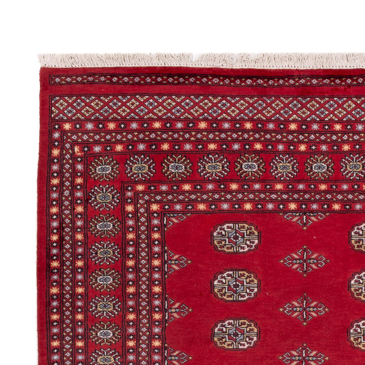 Tappeto afgano - Bukhara - 300 x 201 cm - rosso