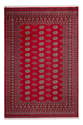 Tappeto afgano - Bukhara - 302 x 200 cm - rosso