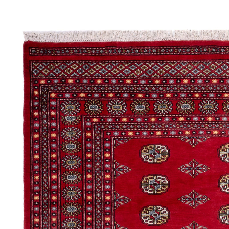 Tappeto afgano - Bukhara - 302 x 200 cm - rosso