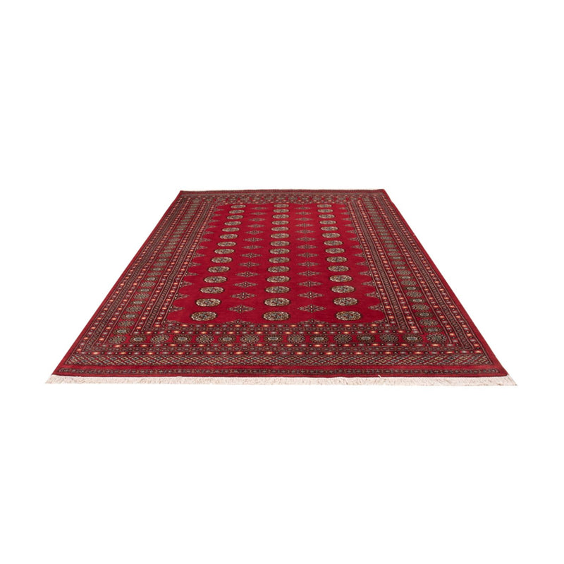 Tappeto afgano - Bukhara - 302 x 200 cm - rosso