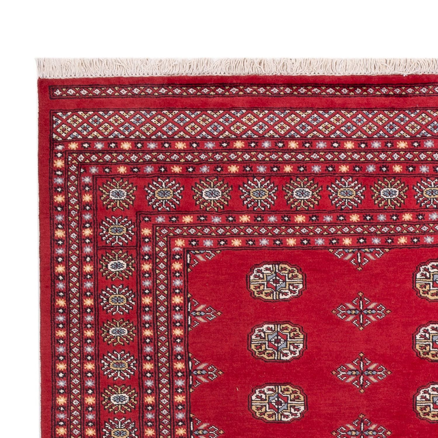Tappeto afgano - Bukhara - 316 x 203 cm - rosso