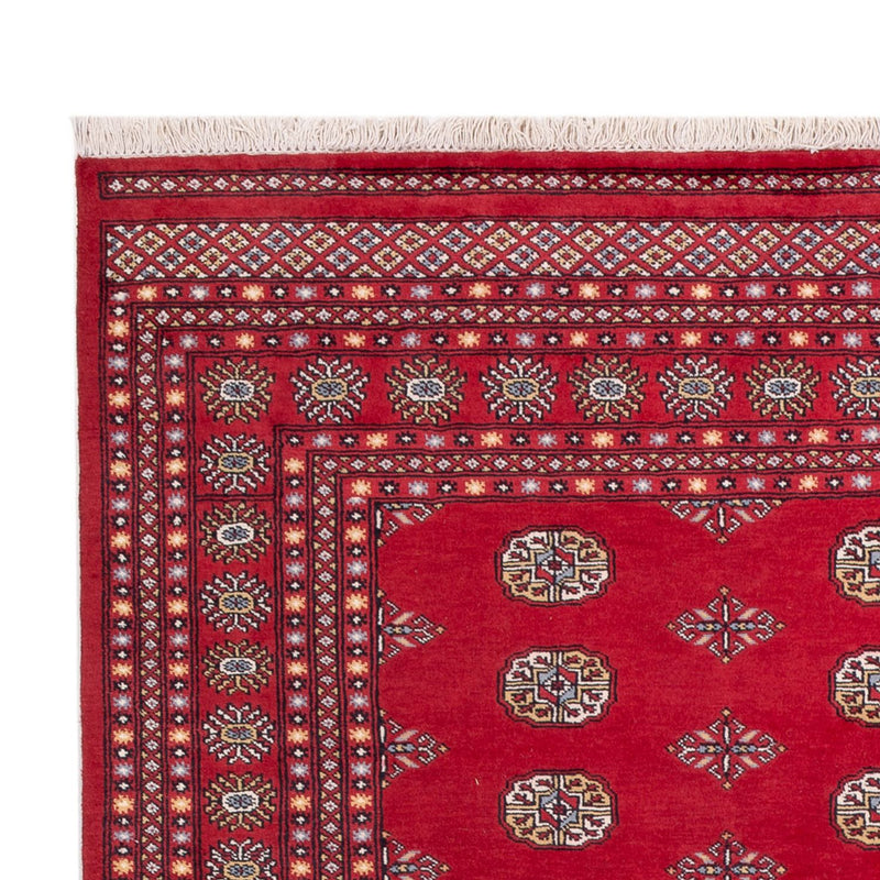 Tappeto afgano - Bukhara - 316 x 203 cm - rosso
