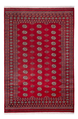 Tappeto afgano - Bukhara - 294 x 198 cm - rosso