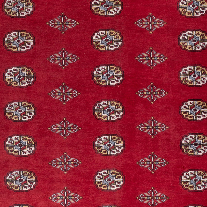 Tappeto afgano - Bukhara - 294 x 198 cm - rosso