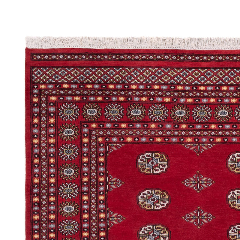 Tappeto afgano - Bukhara - 294 x 198 cm - rosso