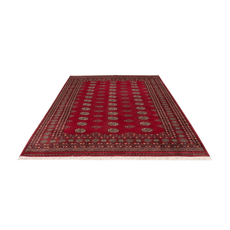 Tappeto afgano - Bukhara - 294 x 198 cm - rosso