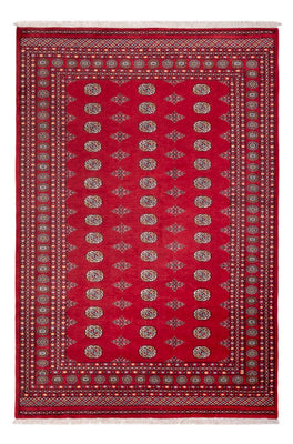 Tappeto afgano - Bukhara - 304 x 206 cm - rosso