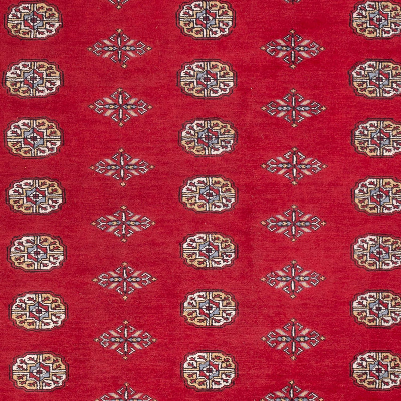 Tappeto afgano - Bukhara - 304 x 206 cm - rosso