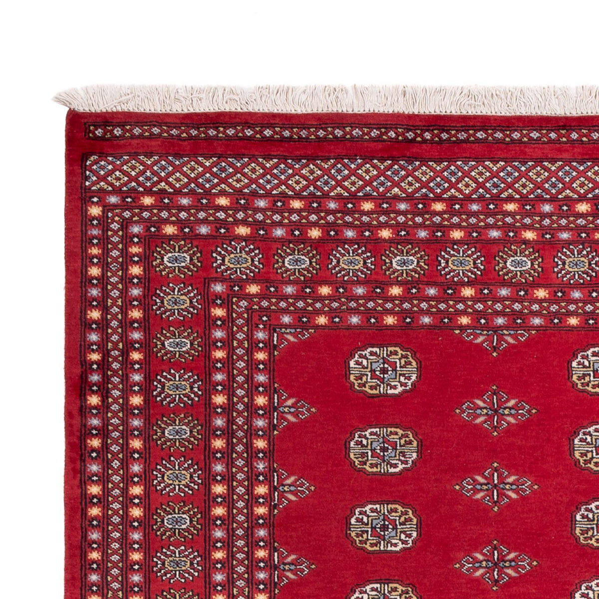 Tappeto afgano - Bukhara - 304 x 206 cm - rosso