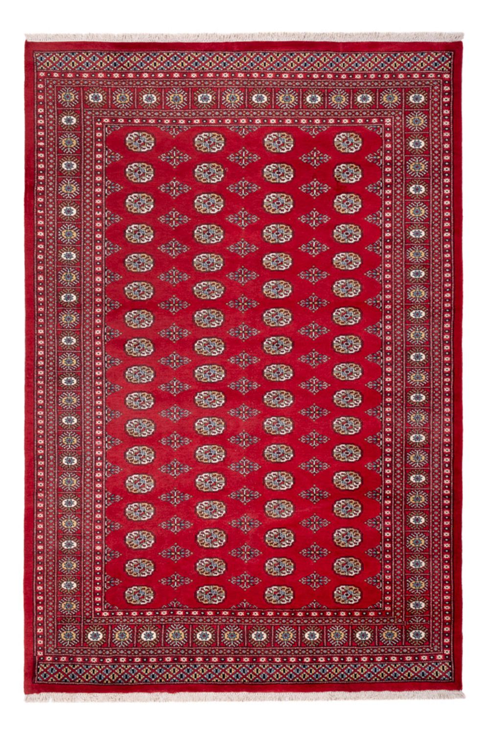 Tappeto afgano - Bukhara - 313 x 207 cm - rosso