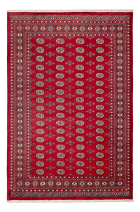 Tappeto afgano - Bukhara - 313 x 207 cm - rosso