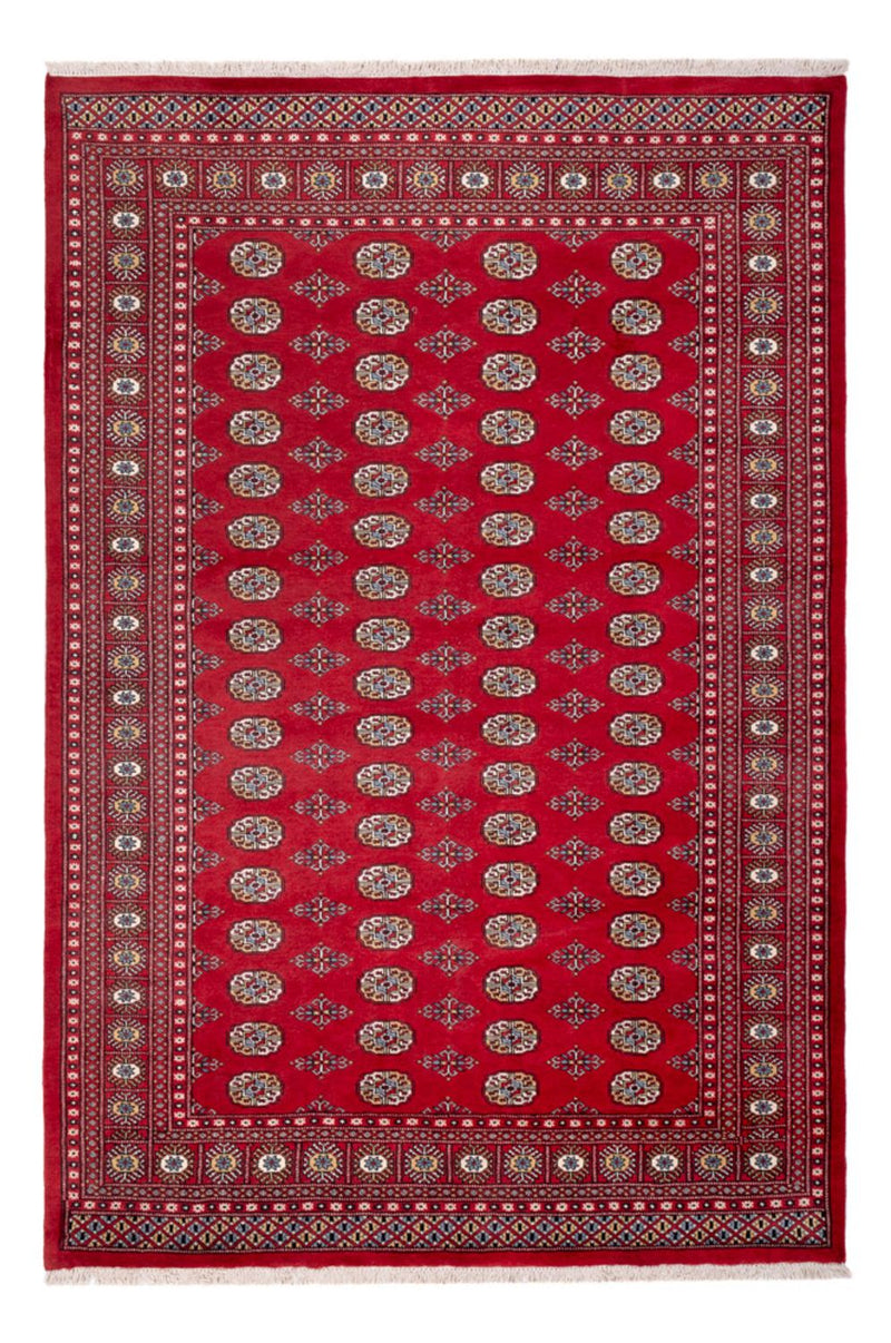 Tappeto afgano - Bukhara - 313 x 207 cm - rosso