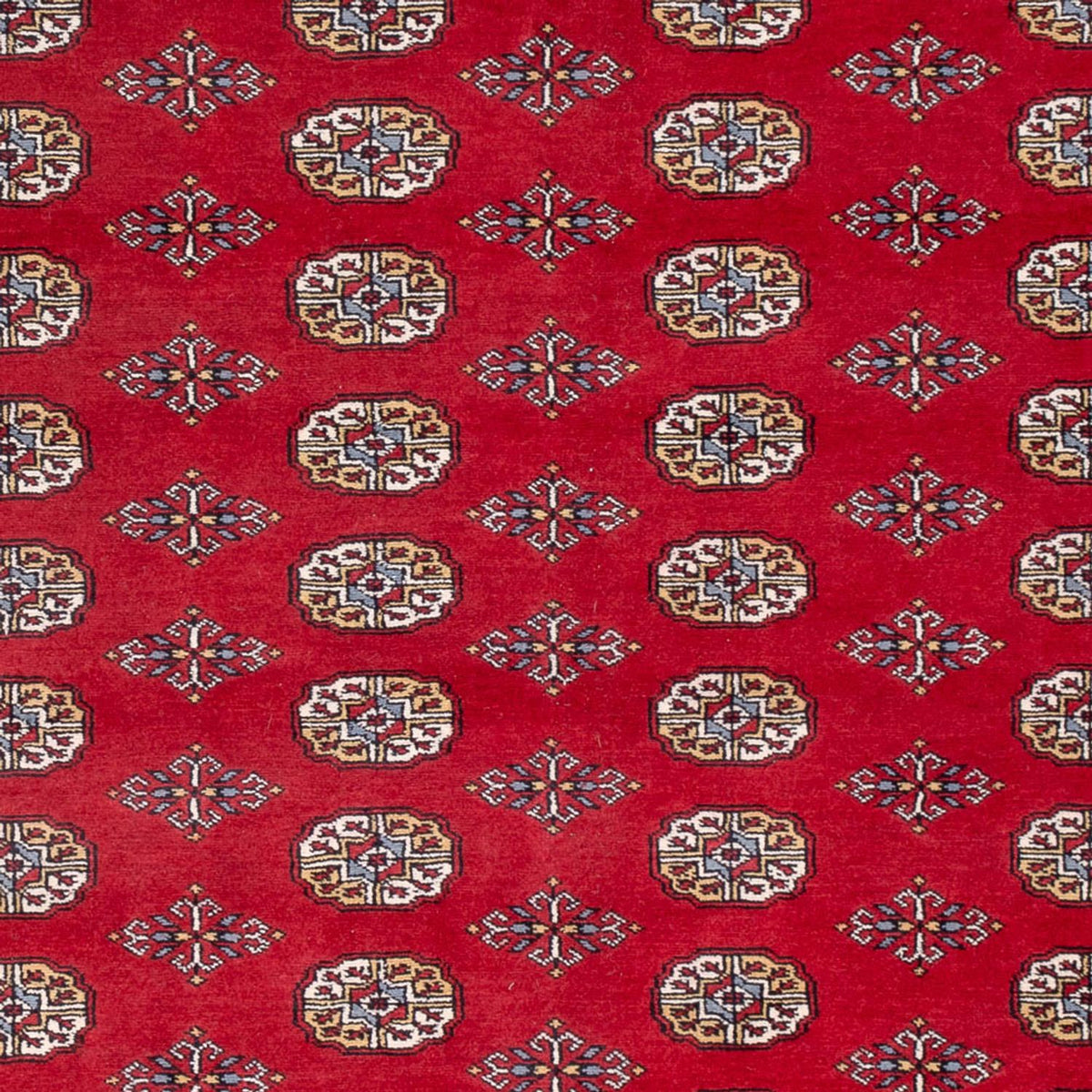 Tappeto afgano - Bukhara - 313 x 207 cm - rosso