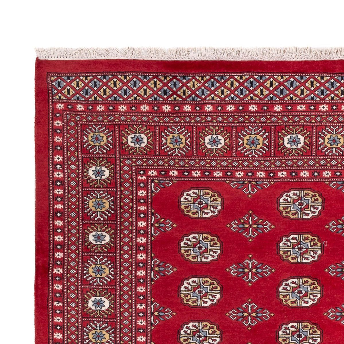 Tappeto afgano - Bukhara - 313 x 207 cm - rosso