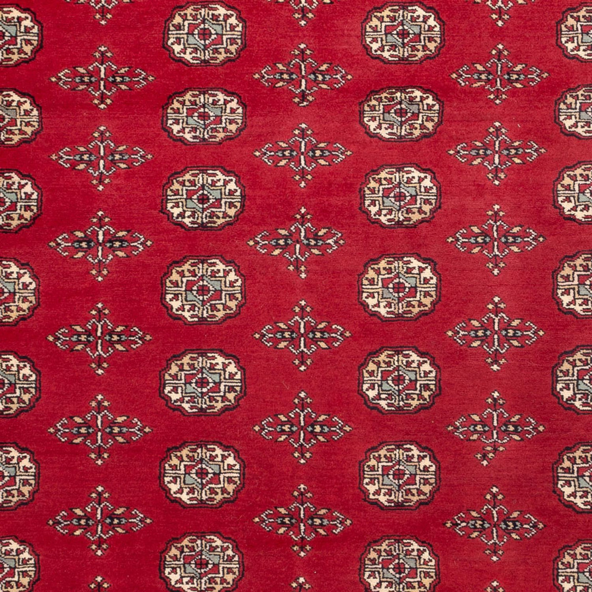 Tappeto afgano - Bukhara - 318 x 210 cm - rosso